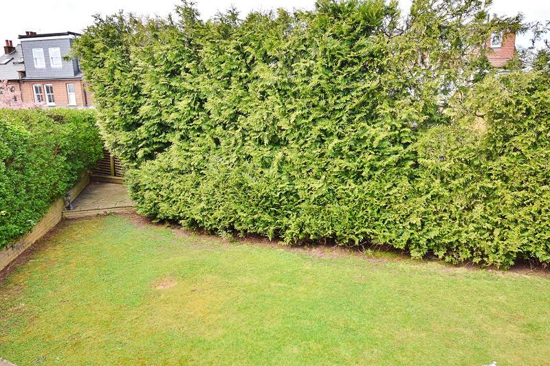 Property thumbnail 18